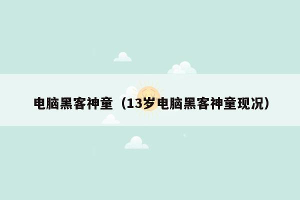 电脑黑客神童（13岁电脑黑客神童现况）