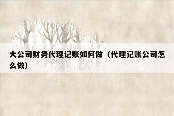 大公司财务代理记账如何做（代理记账公司怎么做）