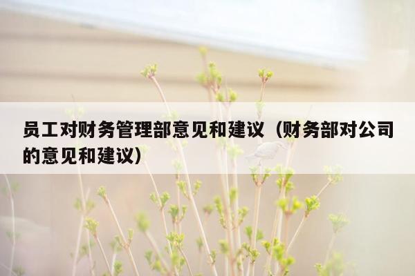 员工对财务管理部意见和建议（财务部对公司的意见和建议）