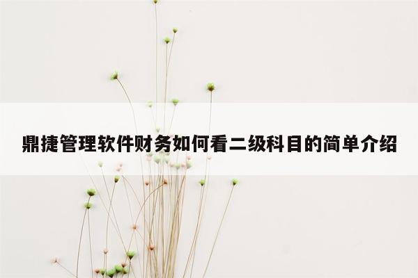 鼎捷管理软件财务如何看二级科目的简单介绍