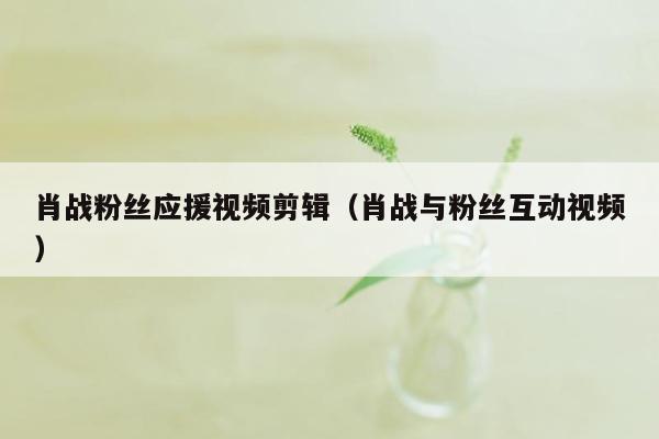 肖战粉丝应援视频剪辑（肖战与粉丝互动视频）