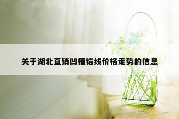 关于湖北直销凹槽锚线价格走势的信息