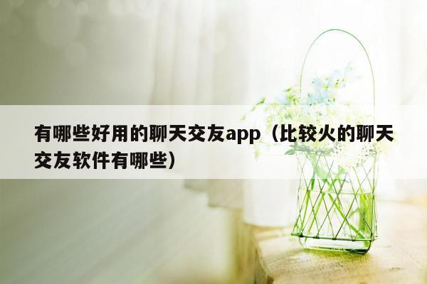 有哪些好用的聊天交友app（比较火的聊天交友软件有哪些）