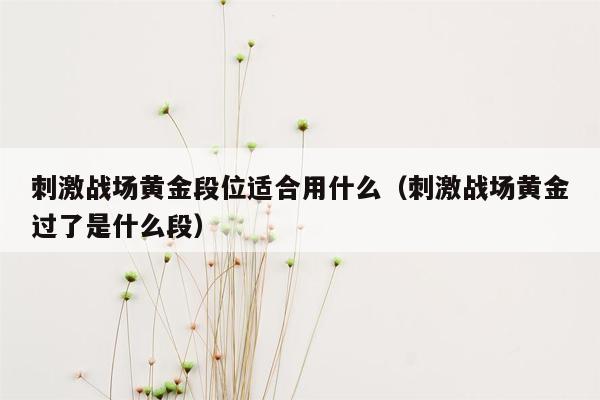 刺激战场黄金段位适合用什么（刺激战场黄金过了是什么段）