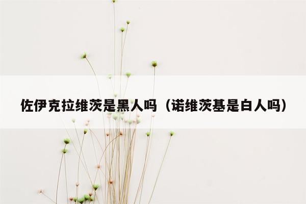 佐伊克拉维茨是黑人吗（诺维茨基是白人吗）