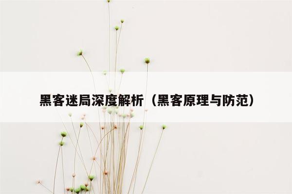 黑客迷局深度解析（黑客原理与防范）