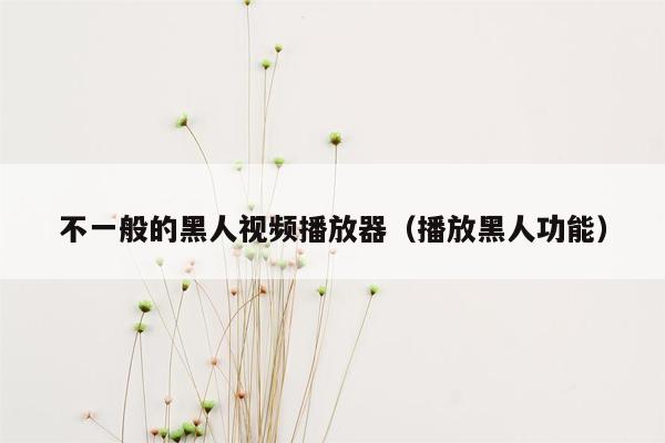 不一般的黑人视频播放器（播放黑人功能）