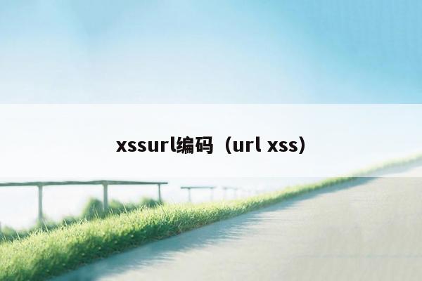 xssurl编码（url xss）