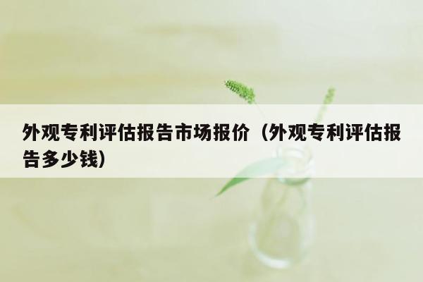 外观专利评估报告市场报价（外观专利评估报告多少钱）