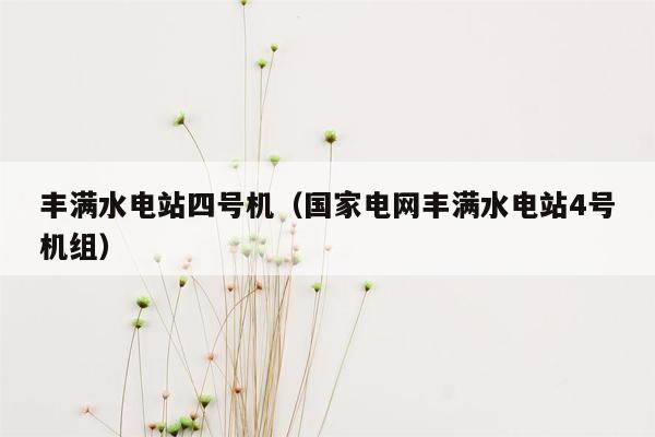 丰满水电站四号机（国家电网丰满水电站4号机组）