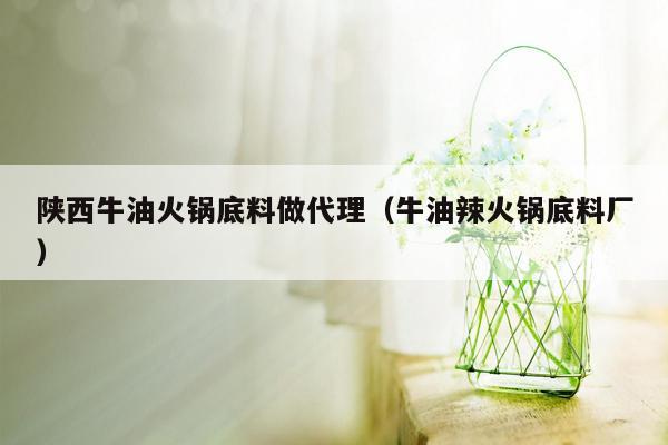 陕西牛油火锅底料做代理（牛油辣火锅底料厂）