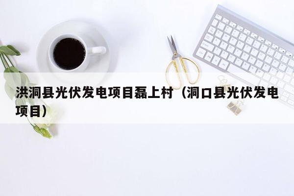 洪洞县光伏发电项目磊上村（洞口县光伏发电项目）