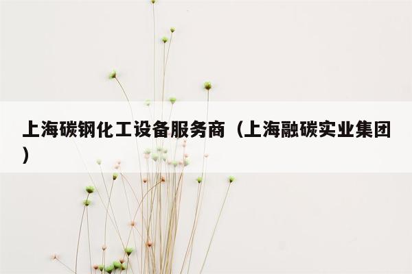 上海碳钢化工设备服务商（上海融碳实业集团）