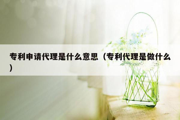 专利申请代理是什么意思（专利代理是做什么）