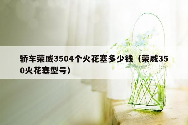 轿车荣威3504个火花塞多少钱（荣威350火花塞型号）