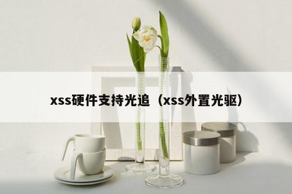 xss硬件支持光追（xss外置光驱）