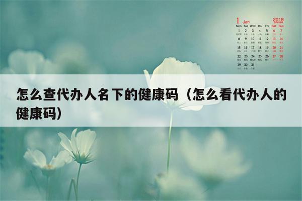 怎么查代办人名下的健康码（怎么看代办人的健康码）