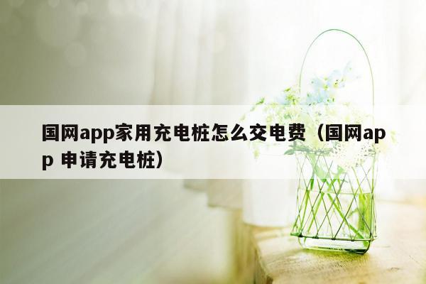 国网app家用充电桩怎么交电费（国网app 申请充电桩）