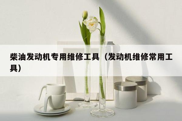 柴油发动机专用维修工具（发动机维修常用工具）