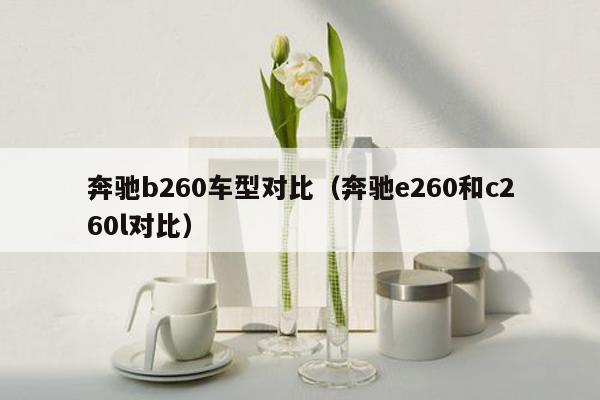 奔驰b260车型对比（奔驰e260和c260l对比）