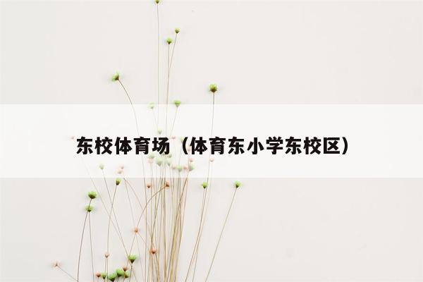 东校体育场（体育东小学东校区）