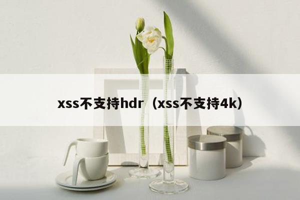 xss不支持hdr（xss不支持4k）