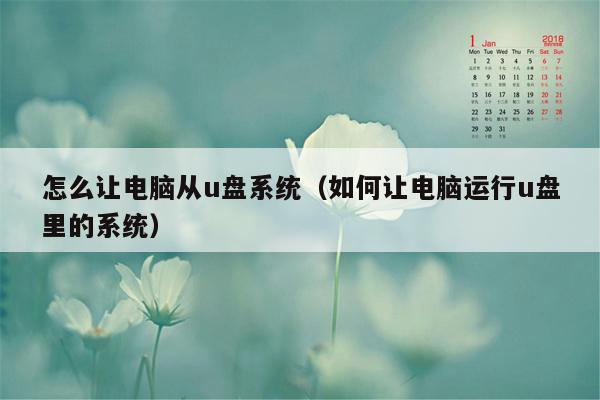 怎么让电脑从u盘系统（如何让电脑运行u盘里的系统）