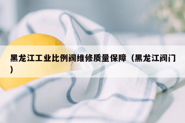 黑龙江工业比例阀维修质量保障（黑龙江阀门）