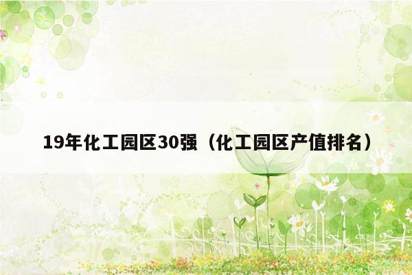 19年化工园区30强（化工园区产值排名）