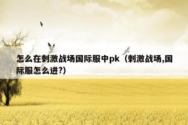 怎么在刺激战场国际服中pk（刺激战场,国际服怎么进?）