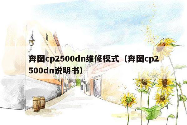 奔图cp2500dn维修模式（奔图cp2500dn说明书）