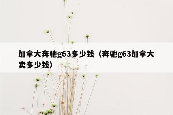 加拿大奔驰g63多少钱（奔驰g63加拿大卖多少钱）