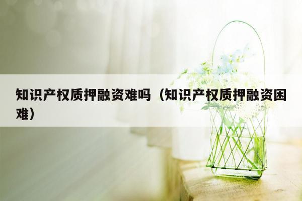 知识产权质押融资难吗（知识产权质押融资困难）