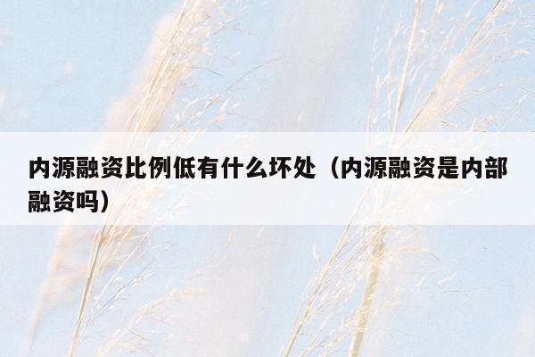 内源融资比例低有什么坏处（内源融资是内部融资吗）