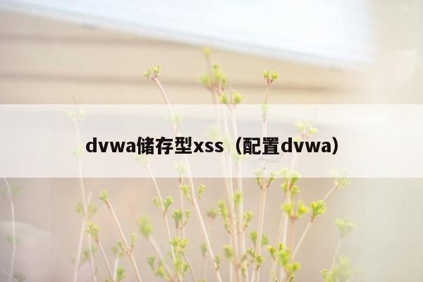 dvwa储存型xss（配置dvwa）