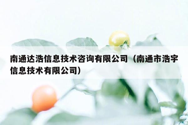 南通达浩信息技术咨询有限公司（南通市浩宇信息技术有限公司）