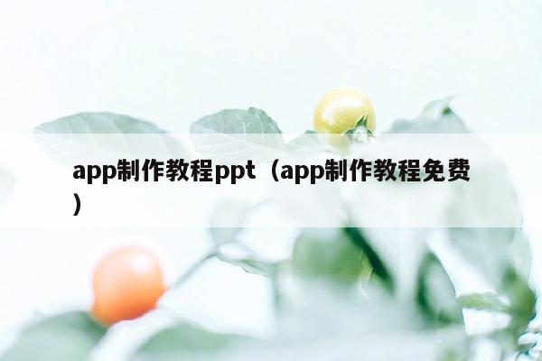 app制作教程ppt（app制作教程免费）