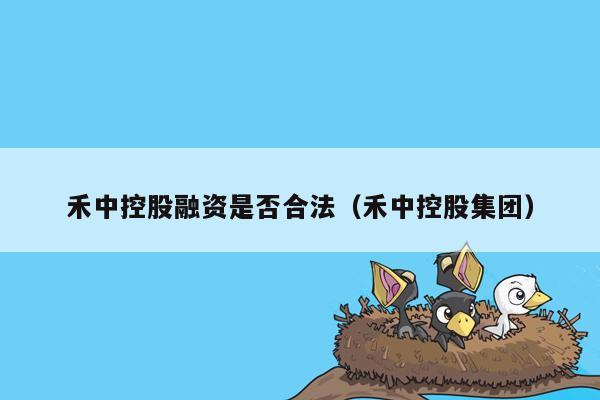 禾中控股融资是否合法（禾中控股集团）