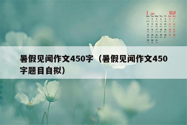 暑假见闻作文450字（暑假见闻作文450字题目自拟）