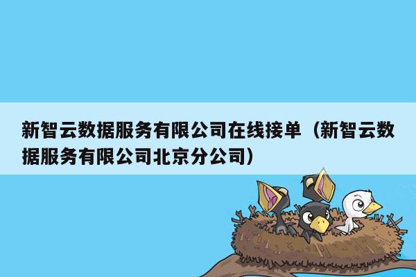 新智云数据服务有限公司在线接单（新智云数据服务有限公司北京分公司）