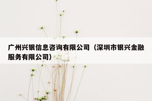 广州兴银信息咨询有限公司（深圳市银兴金融服务有限公司）