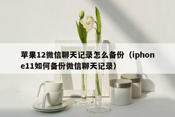 苹果12微信聊天记录怎么备份（iphone11如何备份微信聊天记录）