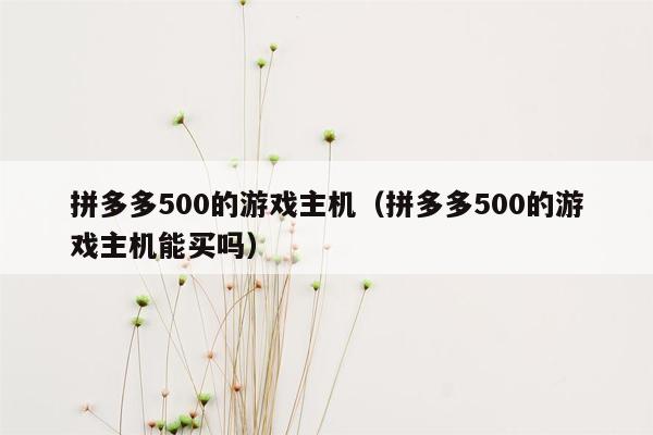 拼多多500的游戏主机（拼多多500的游戏主机能买吗）