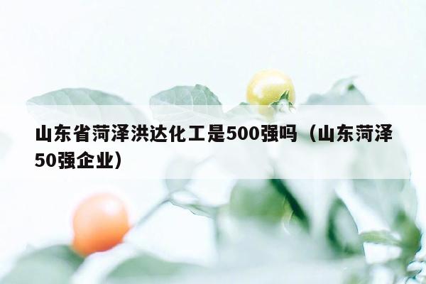 山东省菏泽洪达化工是500强吗（山东菏泽50强企业）