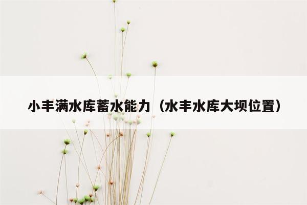 小丰满水库蓄水能力（水丰水库大坝位置）