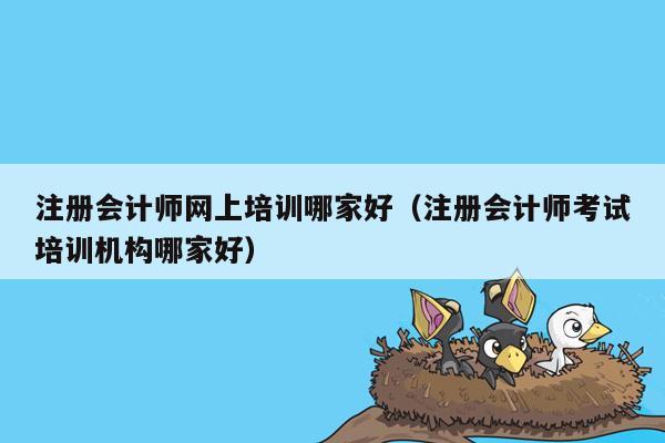 注册会计师网上培训哪家好（注册会计师考试培训机构哪家好）