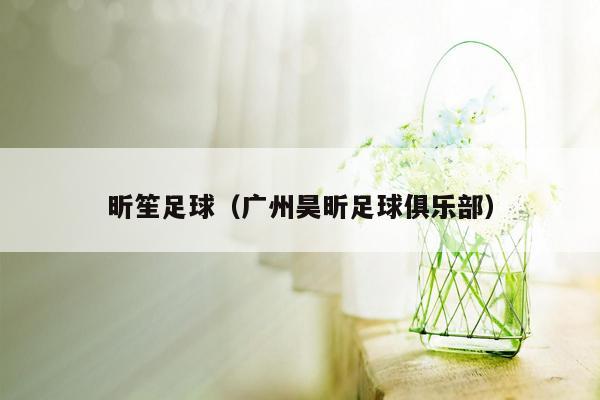 昕笙足球（广州昊昕足球俱乐部）