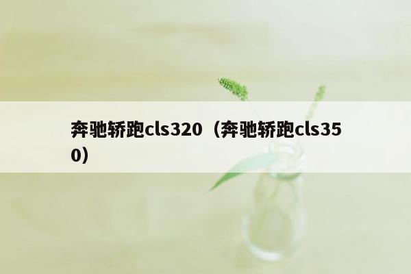 奔驰轿跑cls320（奔驰轿跑cls350）