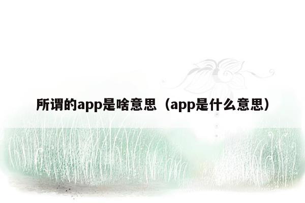 所谓的app是啥意思（app是什么意思）