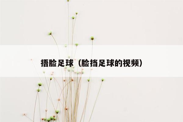 捂脸足球（脸挡足球的视频）